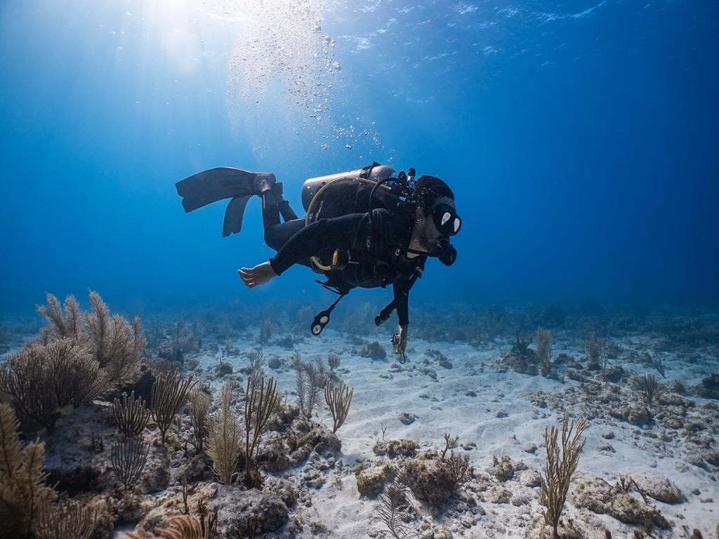 Discovery Scuba Diving