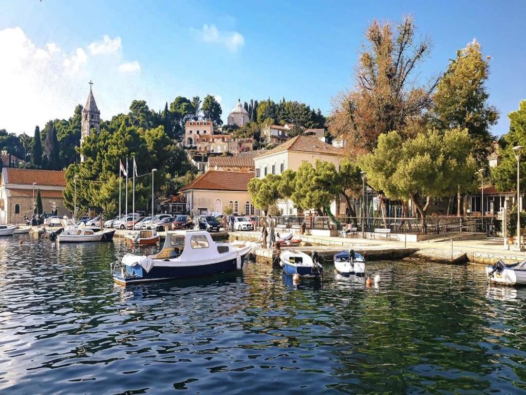 Dubrovnik Riviera Panoramic City Tour - Private Tour