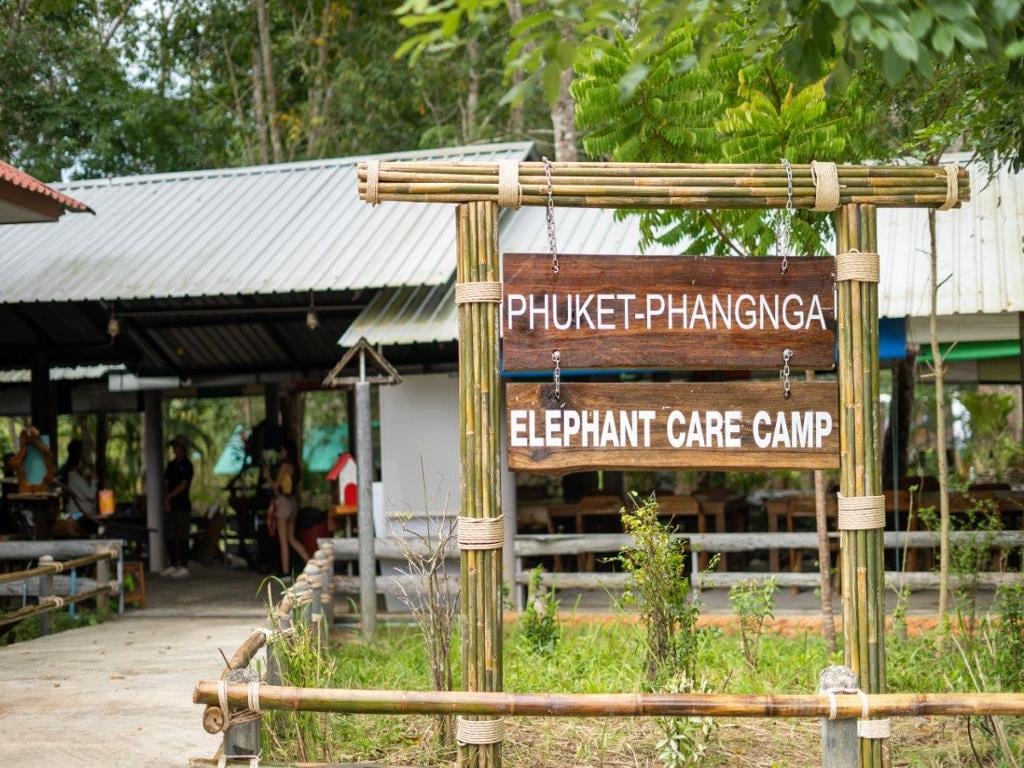 Elephant Care Sanctuary Activities