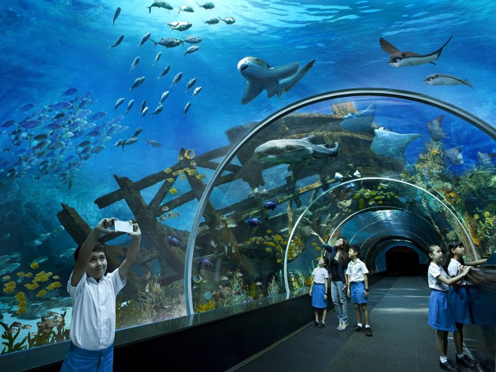 S.E.A Aquarium - Ticket