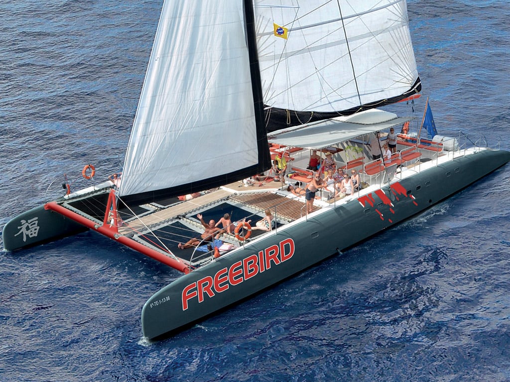 Freebird Catamaran - Direct
