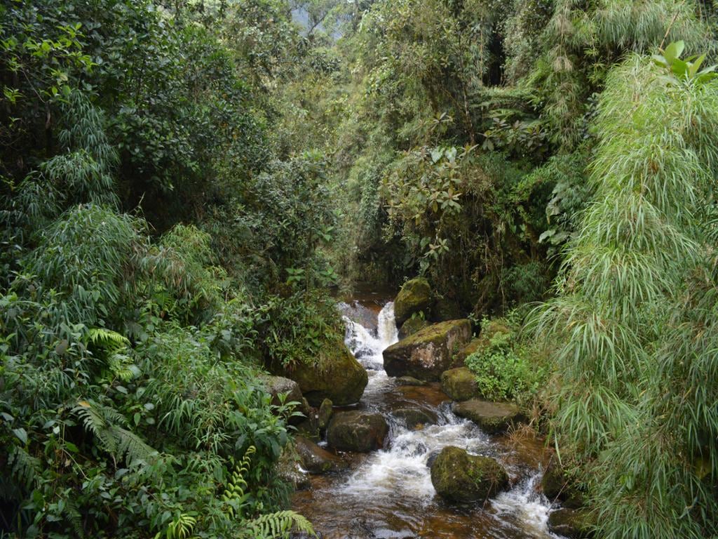 Cascada La Chorrera Ecological Tour