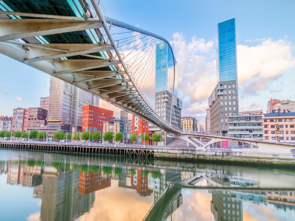 Private Tour: Car Disposal and Private Driver in Bilbao