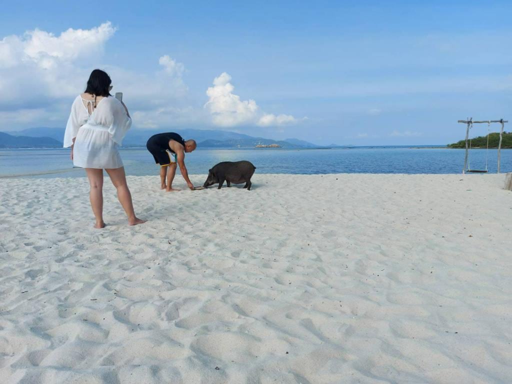 Discover Koh Tan and Koh Madsum Islands – Half-Day Tour