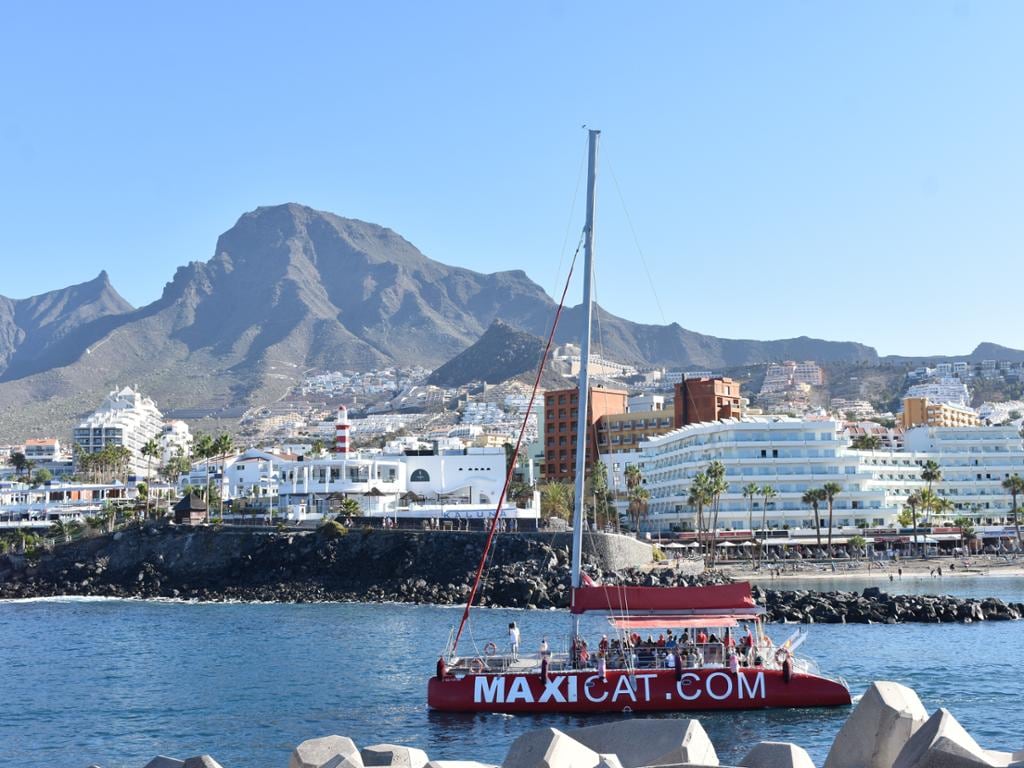 Eco-Catamaran Maxicat Tour with Transfer