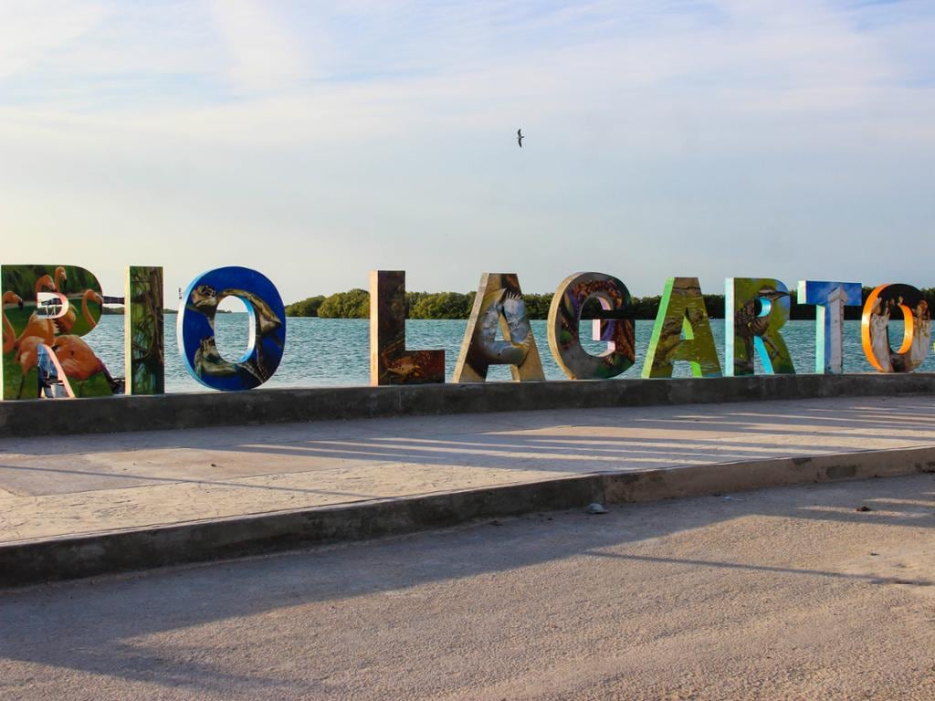 Excursion to Rio Lagartos and Las Coloradas
