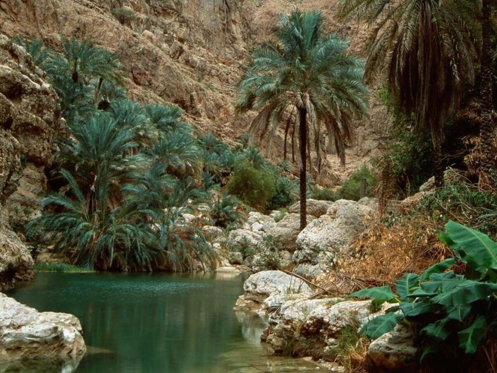 Paradise Valley - Half-Day Tour