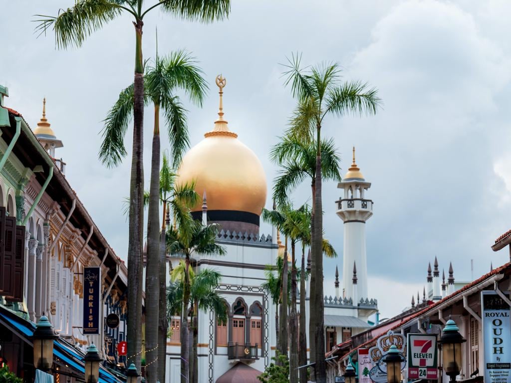 Kampong Glam and Little India - Private Tour