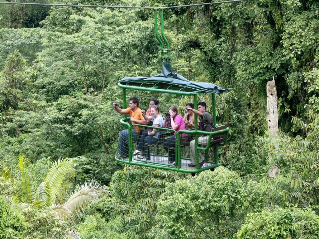 Rainforest Adventures Braulio Carrillo Aerial Tram Tour with Transfer from San Jose