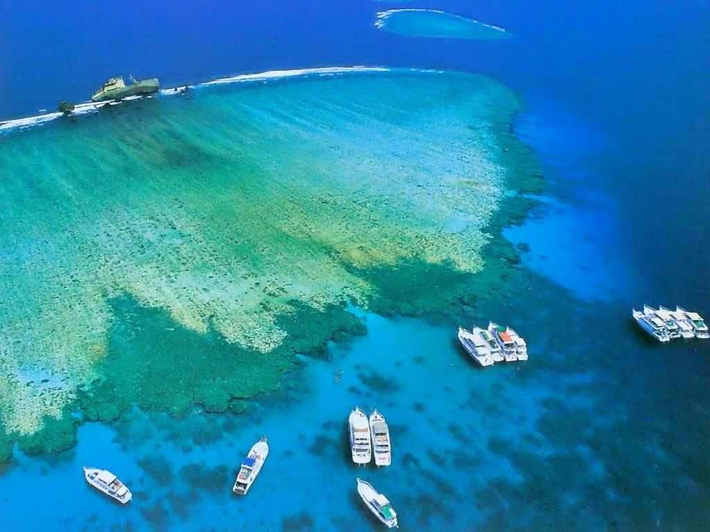 Explore the Underwater World Around Tiran Island - Snorkelling Cruise