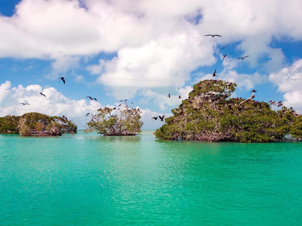 Sian Kaʼan Biosphere and Punta Allen Boat Tour with Lunch