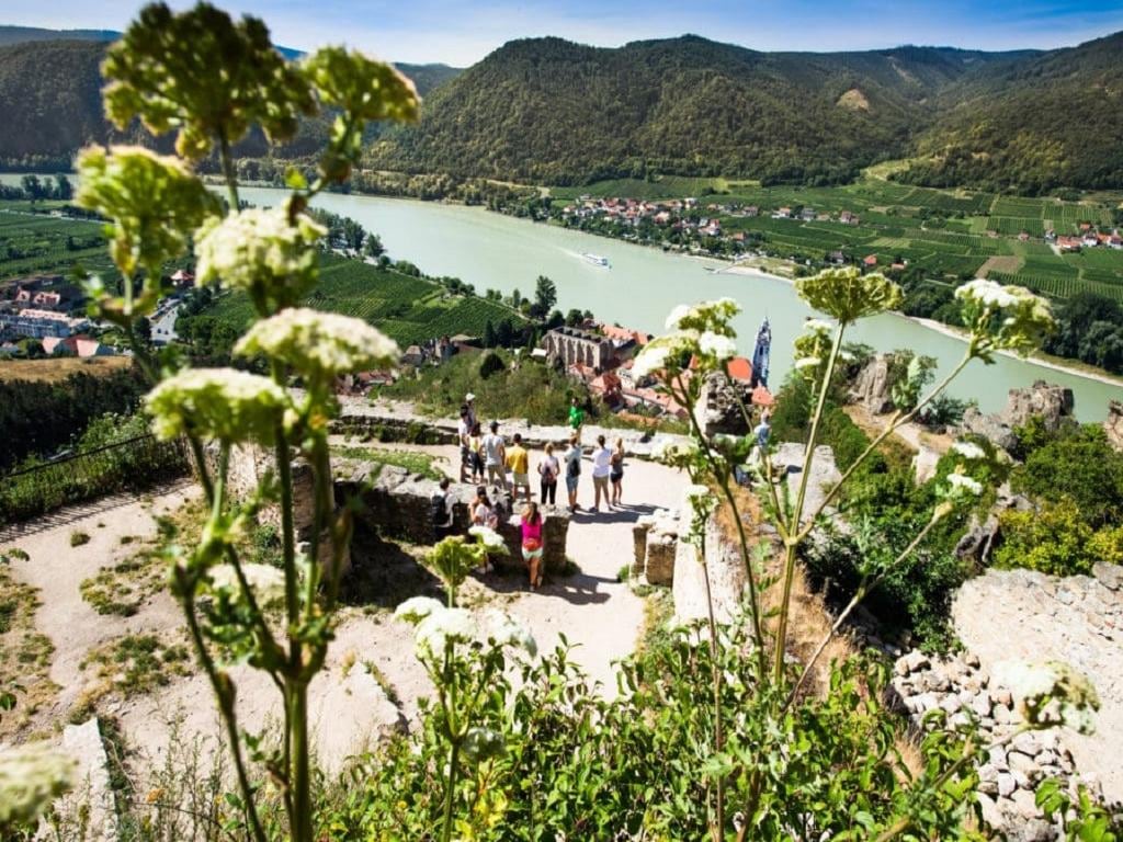 The Secrets of Wachau Valley with Wine Tastings and Boat Cruise - Small Group Tour