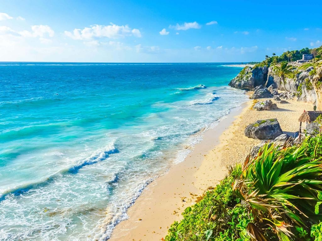Discover the Mayan Ruins and the Casa Tortuga Cenotes - Private Full-Day Tour