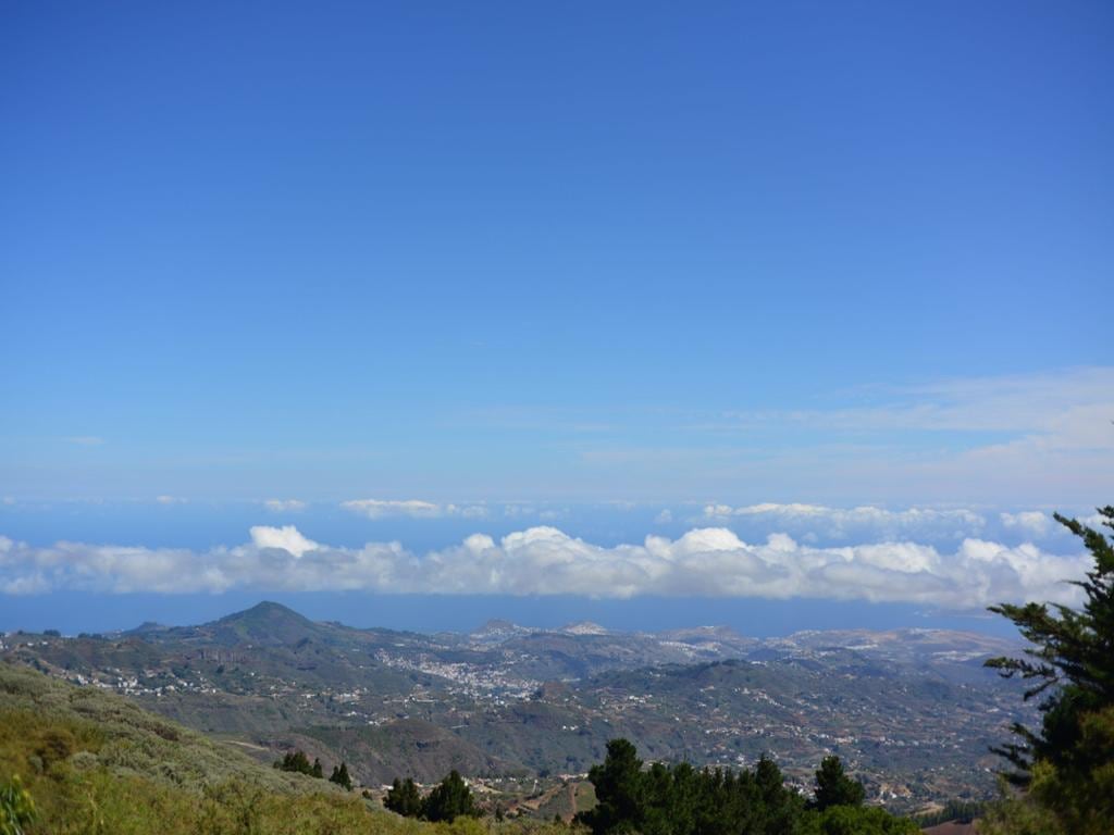 Summits of Gran Canaria and Roque Nublo - Full-Day Tour