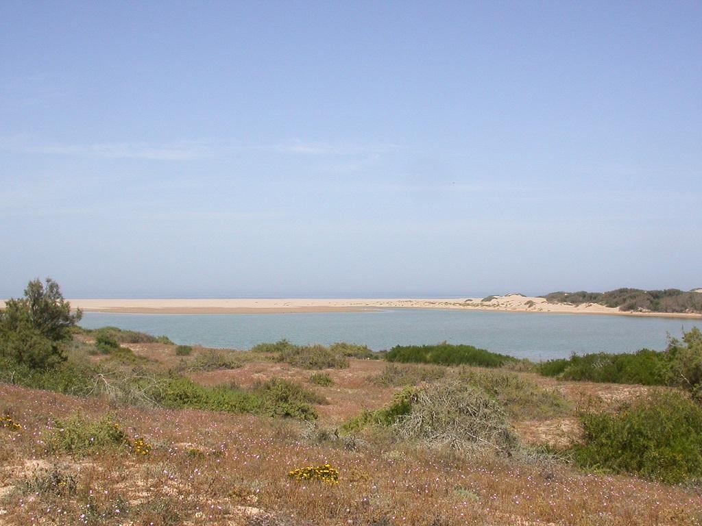 Explore the Diverse Terrain of Souss-Massa National Park - Full-Day Tour