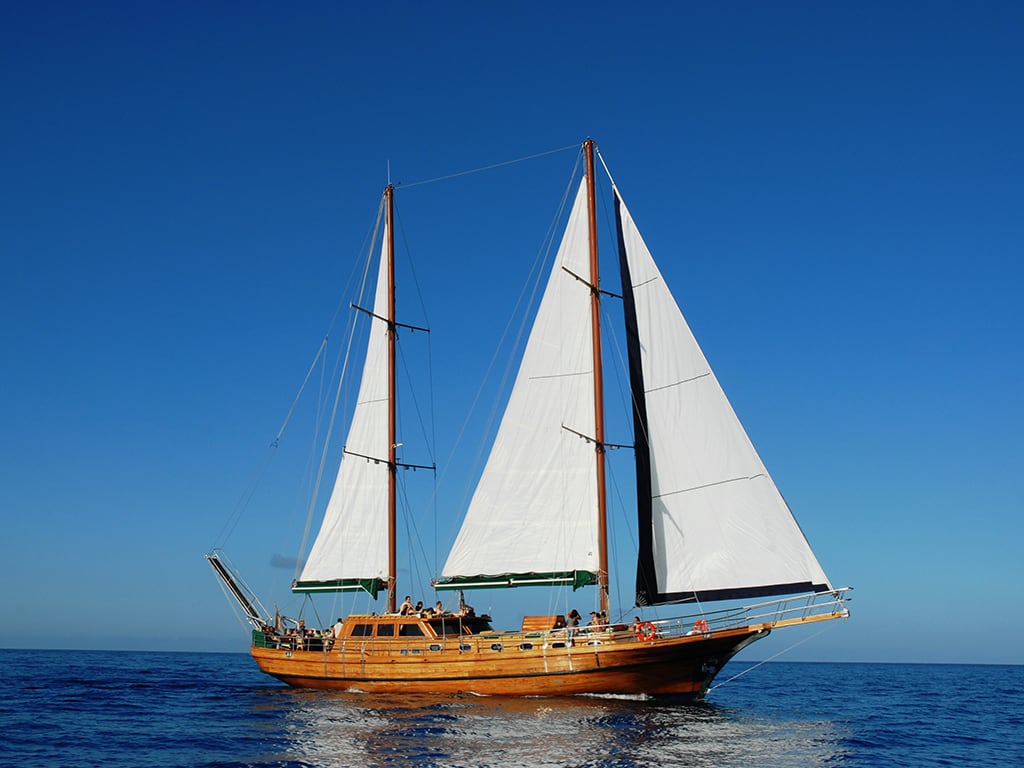 A Coastline Cruise on the Aphrodite Gulet with Lunch