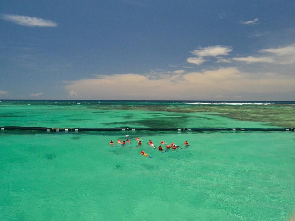Wild on Caribbean Boat