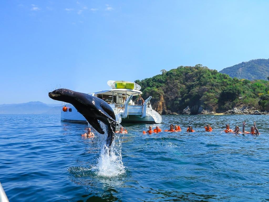 Luxury Yacht and Snorkel Tour