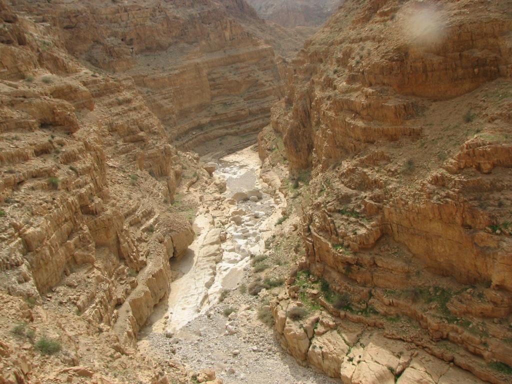 Desert Safari - Private Tour from Tel Aviv