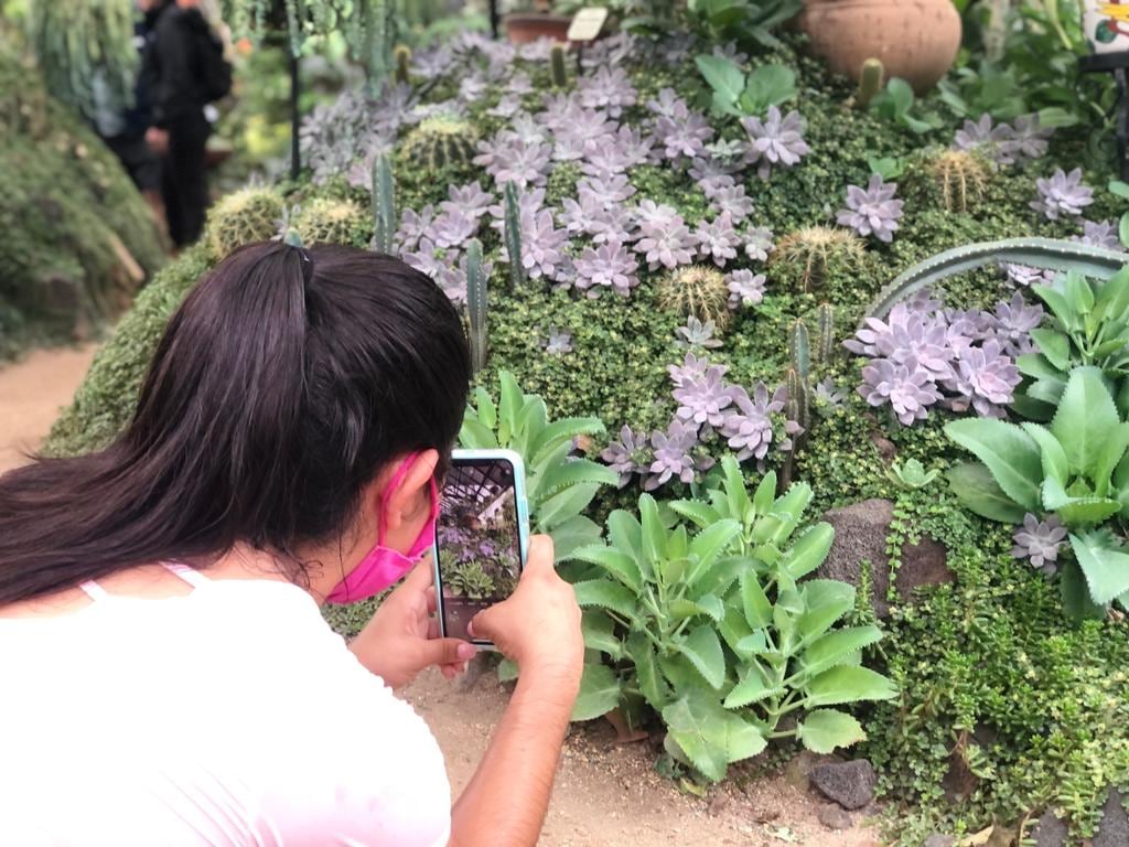 Vallarta Botanical Garden Hiking Tour