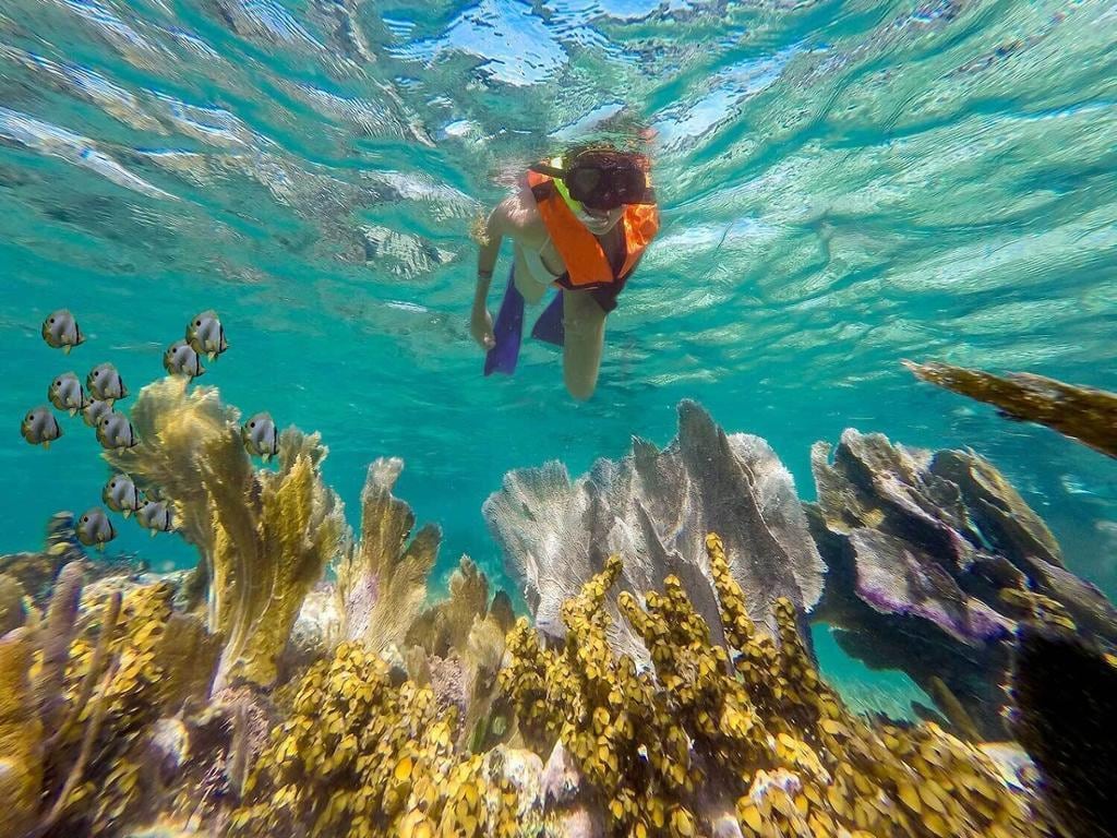 Round Trip Airport Private Tranfer and Snorkeling Tour in Puerto Morelos