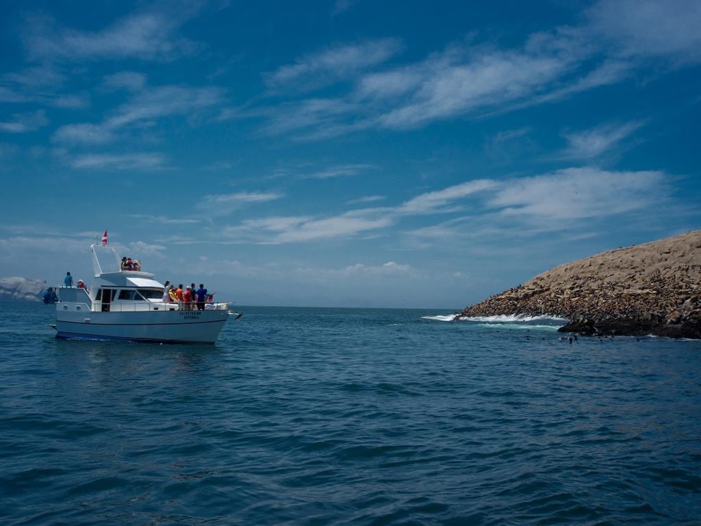 Swim with Sea Lions in Palomino Islands