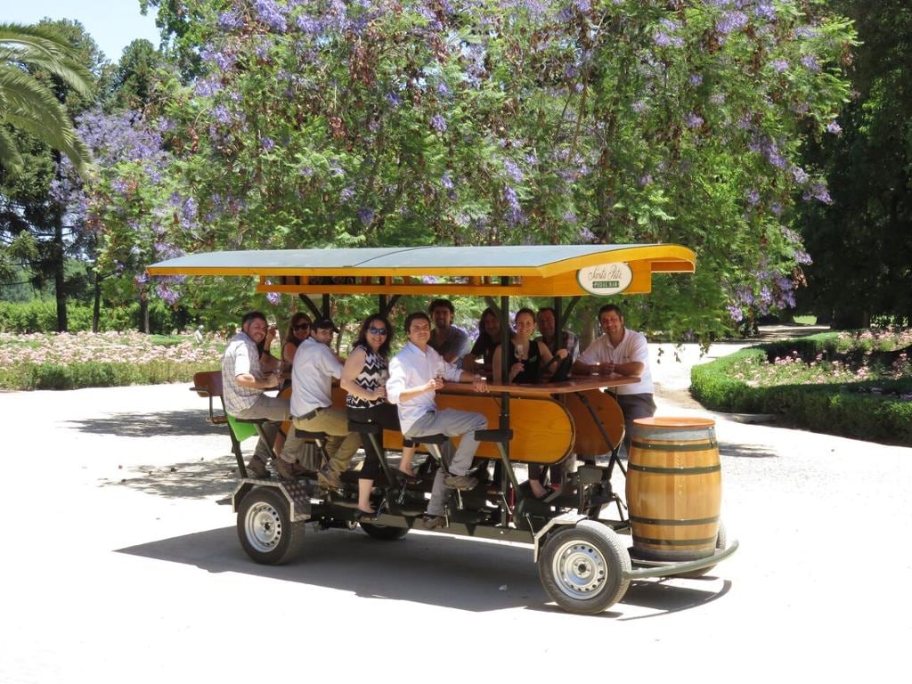 Half-Day Small-Group Santa Rita Vineyard Tour