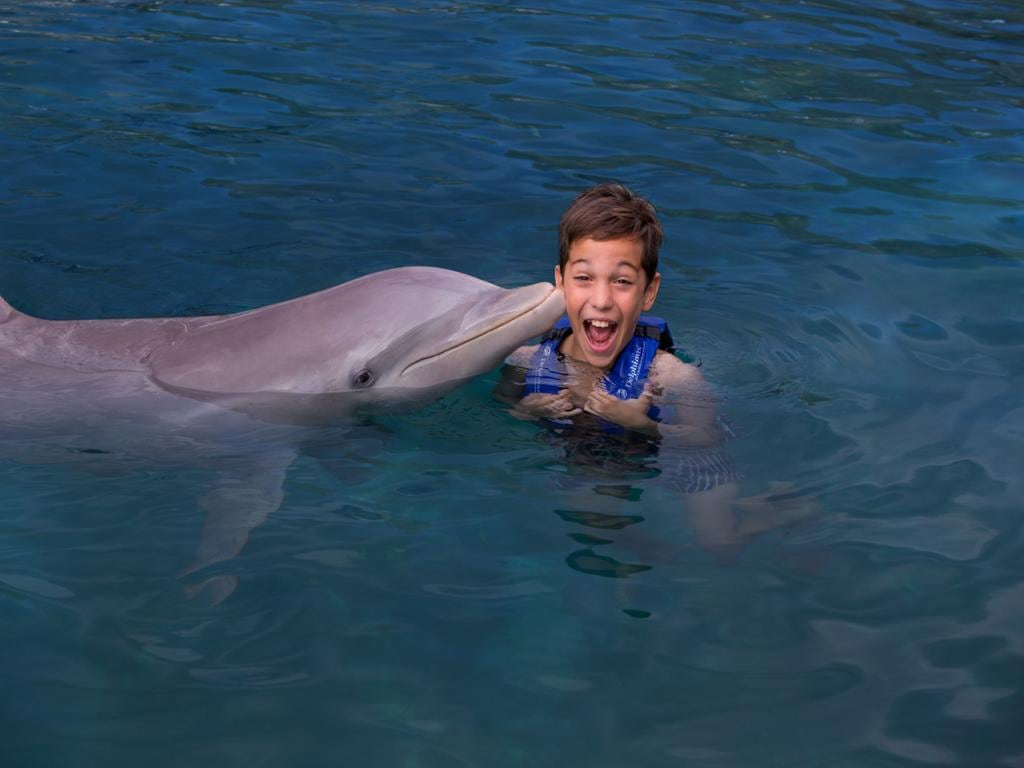 Swim with Dolphins at Playa Mujeres