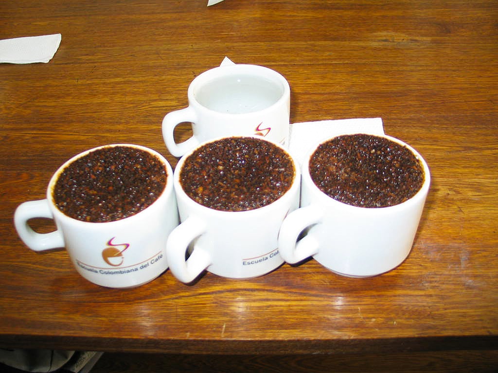 Coffee tasting and visit to gold museum