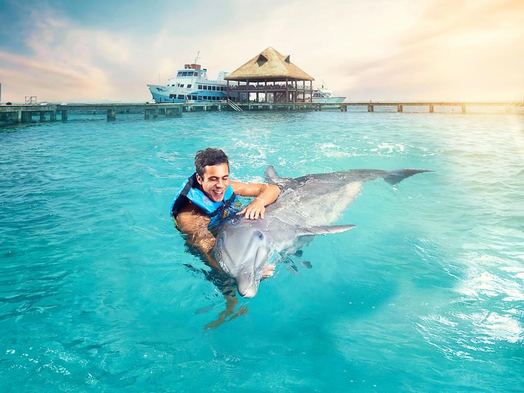 Dolphin Encounter at Isla Mujeres