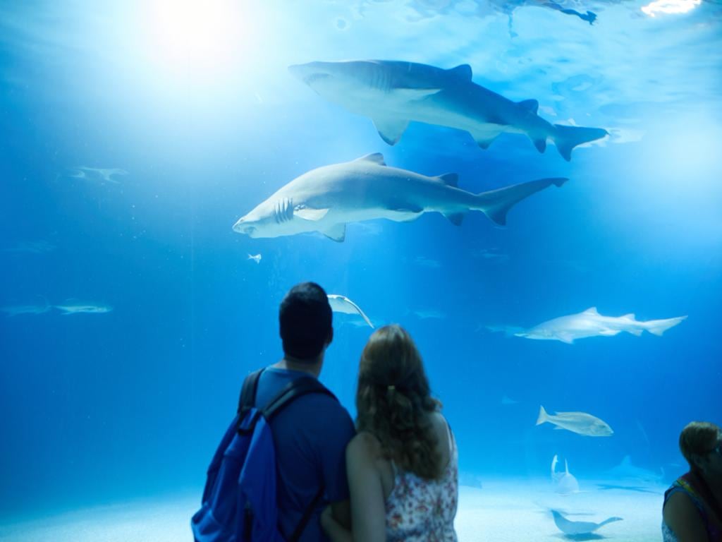 Oceanogràfic
