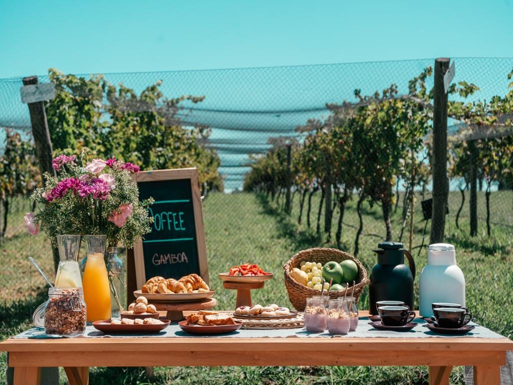 Porteño Wines Experience - Full-Day Tour