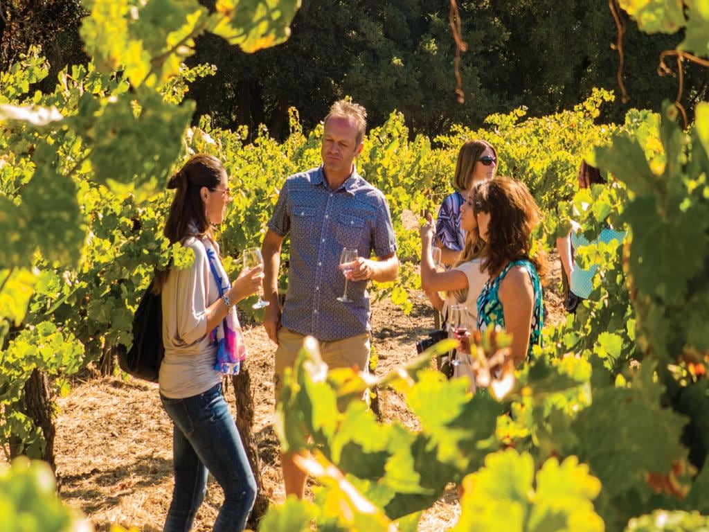 Full Day Wine Country Tour