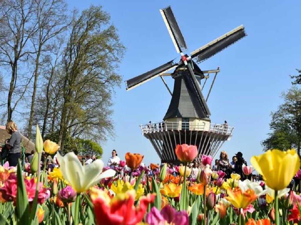 Keukenhof Tour, Tulip Experience and Amsterdam Canal Cruise