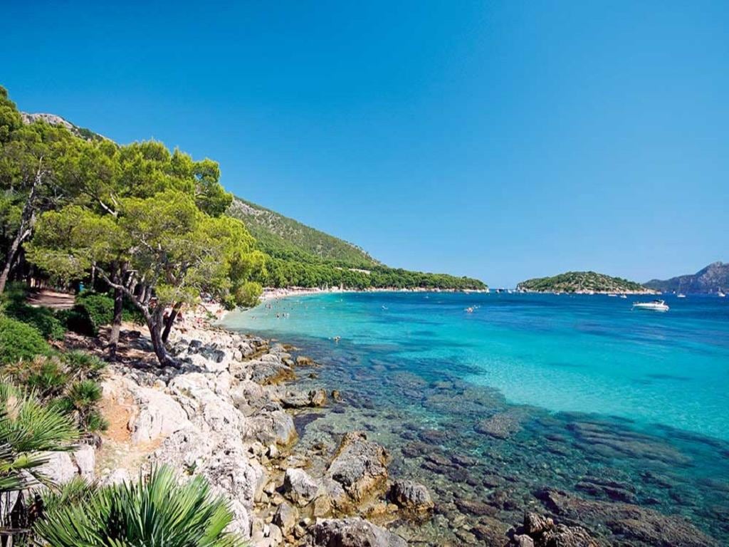 Visit Formentor Beach by Catamaran with Glass Bottom