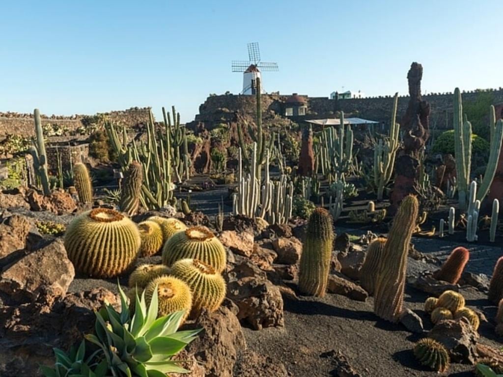 Lanzarote from Coast to Coast with Ferry to La Graciosa