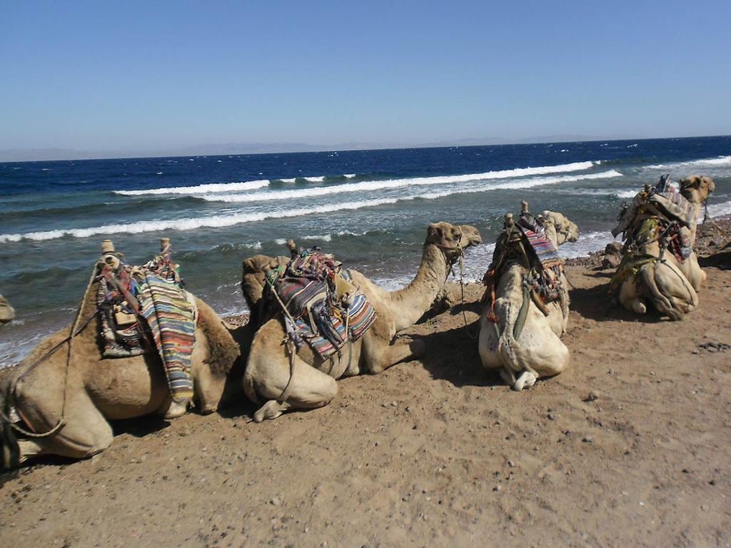 Safari Blue Hole Dahab