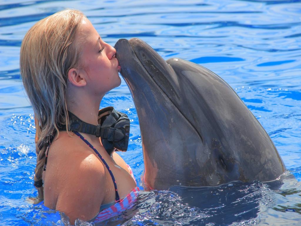 Dolphin Extreme