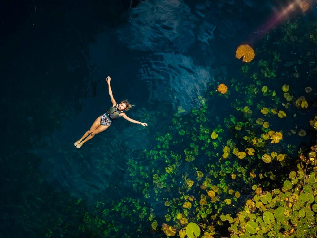 Tour Xenotes