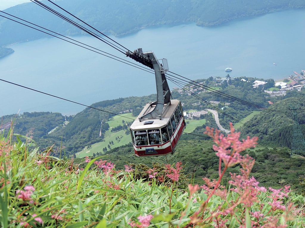 Mount Fuji and Hakone Full-Day Tour (Return by Shinkansen)