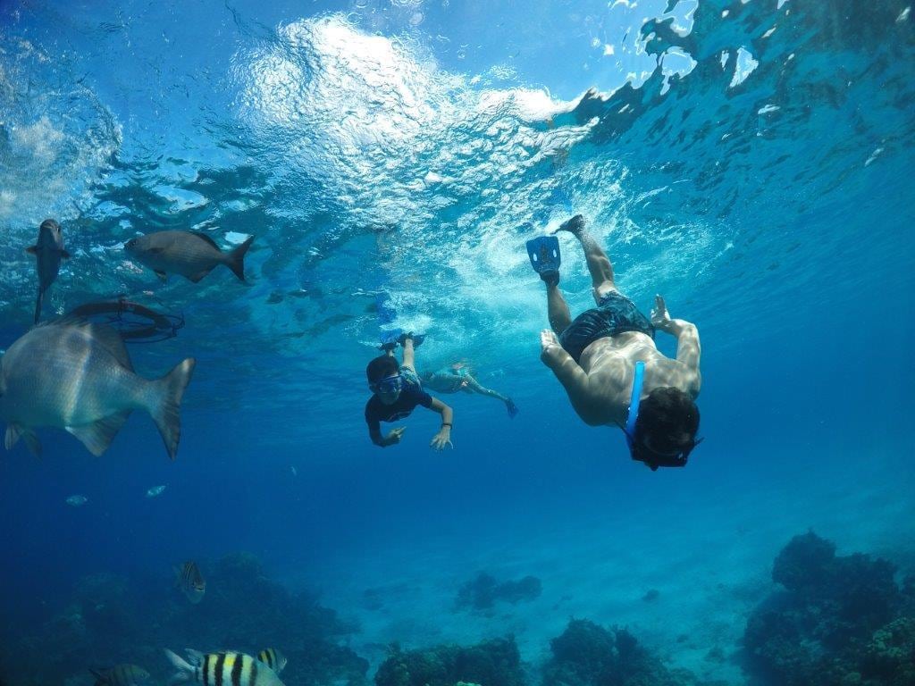 Explore the Island of Cozumel and El Cielo - Private Full-Day Tour