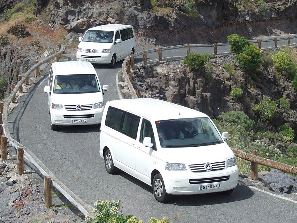 Explore Canarian Rocky Landscapes - Full-Day Tour