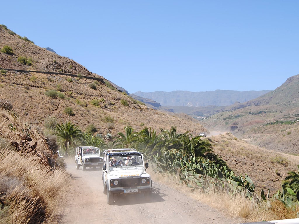 4x4 Safari