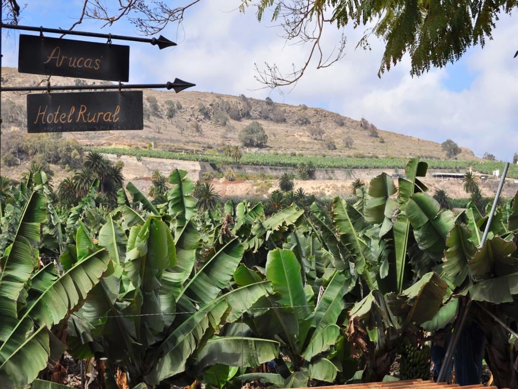 Essences of the North of Gran Canaria - Full-Day Tour