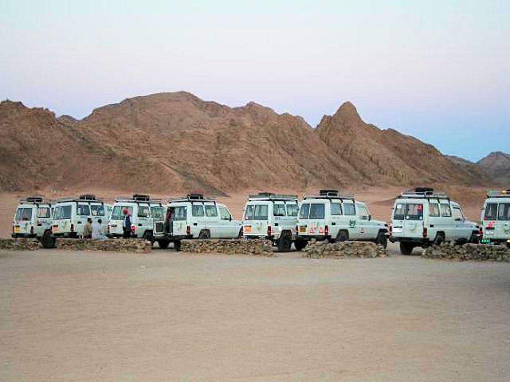 Desert Safari - Full-Day Tour