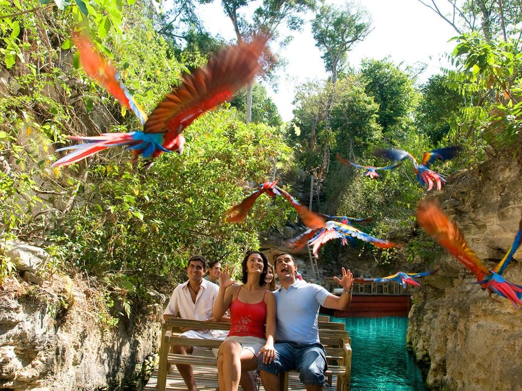 Admission to Xcaret Full Day