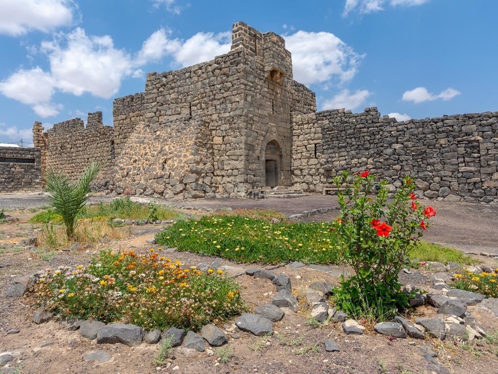 Desert Castles Half-Day Tour