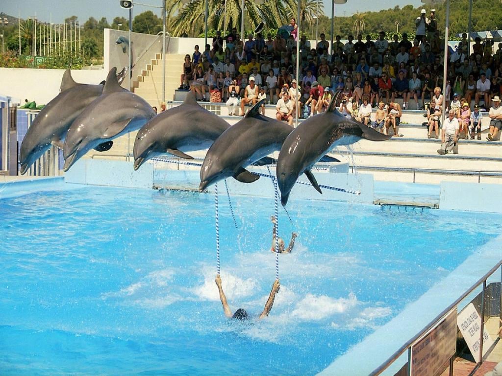 Marineland - Ticket