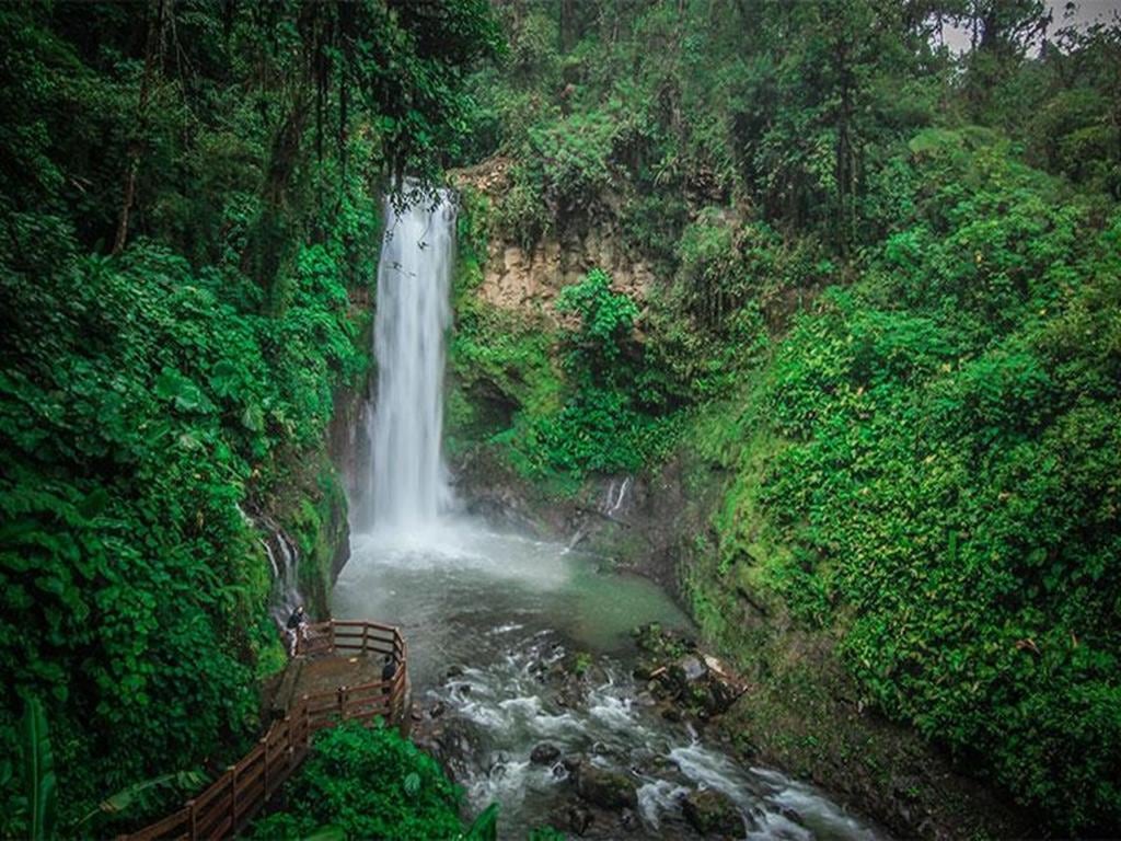 La Paz Waterfall Gardens with Lunch - Ticket